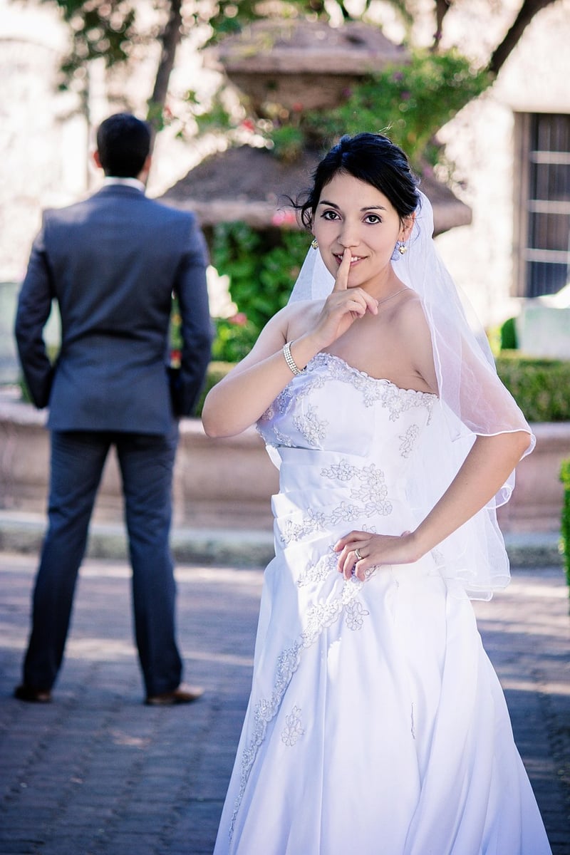 Bride's Dress